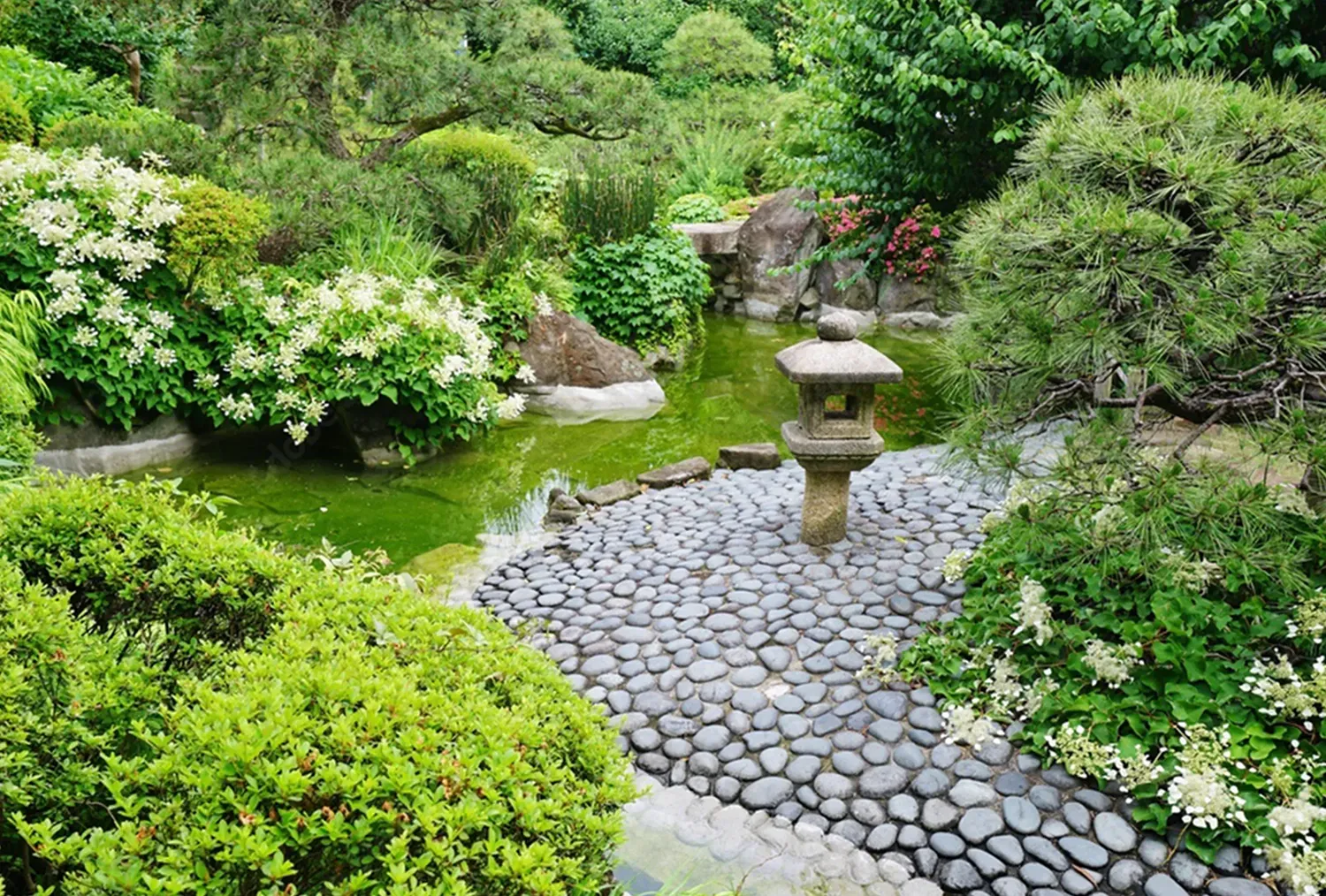 日本庭園の設計